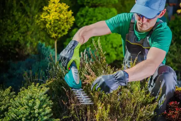 landscaping services D'Lo